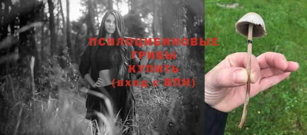 крисы Володарск