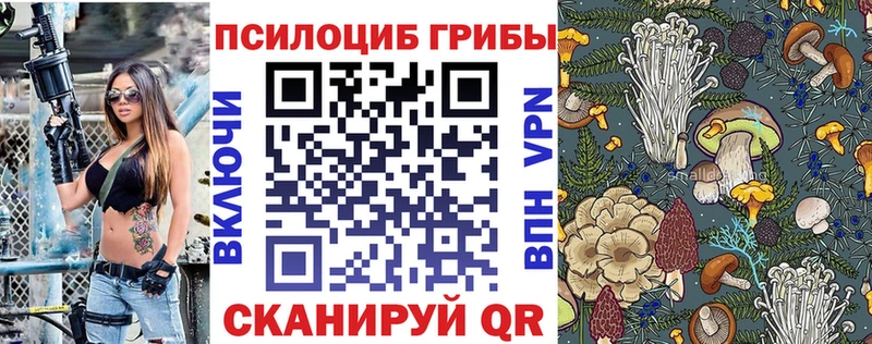 Купить  Валуйки  Галлюциногенные грибы MAGIC MUSHROOMS 